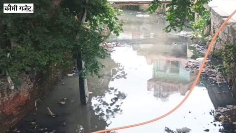 आगरा में वन क्षेत्र और रजबहा नष्ट करने के मामले में एनजीटी ने उत्तर प्रदेश सरकार और अधिकारियों को नोटिस जारी किया